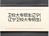 卫校大专招生辽宁(辽宁卫校大专招生)