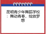 昆明青少年舞蹈学校：舞动青春，绽放梦想