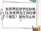 张家界旅游学校赵美玲,张家界龙王洞在哪个景区？景色怎么样？
