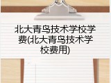 北大青鸟技术学校学费(北大青鸟技术学校费用)
