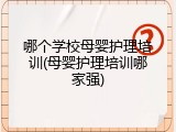 哪个学校母婴护理培训(母婴护理培训哪家强)