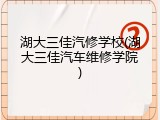 湖大三佳汽修学校(湖大三佳汽车维修学院)