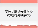 攀枝花高铁专业学校(攀枝花高铁学校)