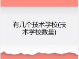 有几个技术学校(技术学校数量)