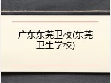 广东东莞卫校(东莞卫生学校)