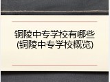 铜陵中专学校有哪些(铜陵中专学校概览)