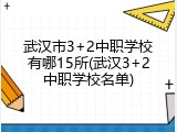 武汉市3+2中职学校有哪15所(武汉3+2中职学校名单)