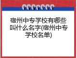 宿州中专学校有哪些叫什么名字(宿州中专学校名单)