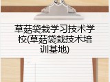 草菇袋栽学习技术学校(草菇袋栽技术培训基地)