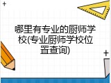 哪里有专业的厨师学校(专业厨师学校位置查询)