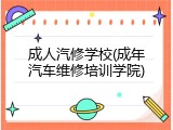 成人汽修学校(成年汽车维修培训学院)