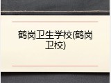 鹤岗卫生学校(鹤岗卫校)