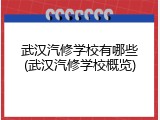 武汉汽修学校有哪些(武汉汽修学校概览)