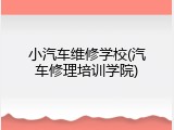 小汽车维修学校(汽车修理培训学院)
