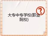 大专中专学校(职业院校)