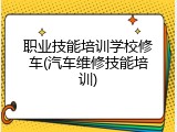 职业技能培训学校修车(汽车维修技能培训)