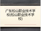 广东松山职业技术学校(松山职业技术学校)