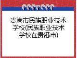 贵港市民族职业技术学校(民族职业技术学校在贵港市)