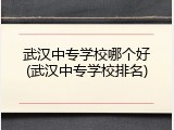 武汉中专学校哪个好(武汉中专学校排名)