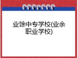 业馀中专学校(业余职业学校)