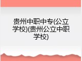 贵州中职中专(公立学校)(贵州公立中职学校)
