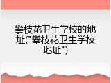 攀枝花卫生学校的地址("攀枝花卫生学校地址")