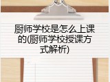厨师学校是怎么上课的(厨师学校授课方式解析)
