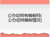 公办幼师有编制吗(公办幼师编制情况)