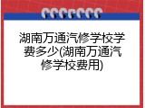 湖南万通汽修学校学费多少(湖南万通汽修学校费用)