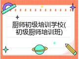 厨师初级培训学校(初级厨师培训班)