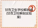 甘孜卫生学校解剖室(甘孜卫校解剖实验室)