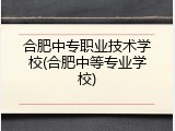 合肥中专职业技术学校(合肥中等专业学校)