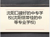 沈阳口碑好的中专学校(沈阳信誉佳的中等专业学校)