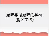 厨师学习厨师的学校(厨艺学校)