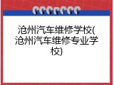 沧州汽车维修学校(沧州汽车维修专业学校)