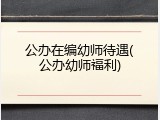 公办在编幼师待遇(公办幼师福利)