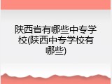 陕西省有哪些中专学校(陕西中专学校有哪些)