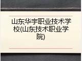 山东华宇职业技术学校(山东技术职业学院)