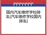 国内汽车维修学校排名(汽车维修学校国内排名)