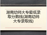 湖南幼师大专最低录取分数线(湖南幼师大专录取线)
