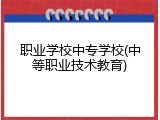 职业学校中专学校(中等职业技术教育)