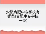 安徽合肥中专学校有哪些(合肥中专学校一览)