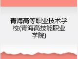 青海高等职业技术学校(青海高技能职业学院)