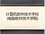 计算机软件技术学校(电脑软件技术学院)