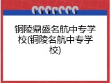 铜陵鼎盛名航中专学校(铜陵名航中专学校)