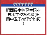 肥西县中等卫生职业技术学校怎么样(肥西中卫职校评价如何)