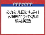 公办幼儿园幼师是什么编制的(公办幼师编制类型)