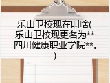 乐山卫校现在叫啥(乐山卫校现更名为**四川健康职业学院**。)
