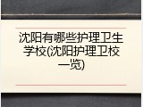 沈阳有哪些护理卫生学校(沈阳护理卫校一览)