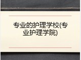 专业的护理学校(专业护理学院)